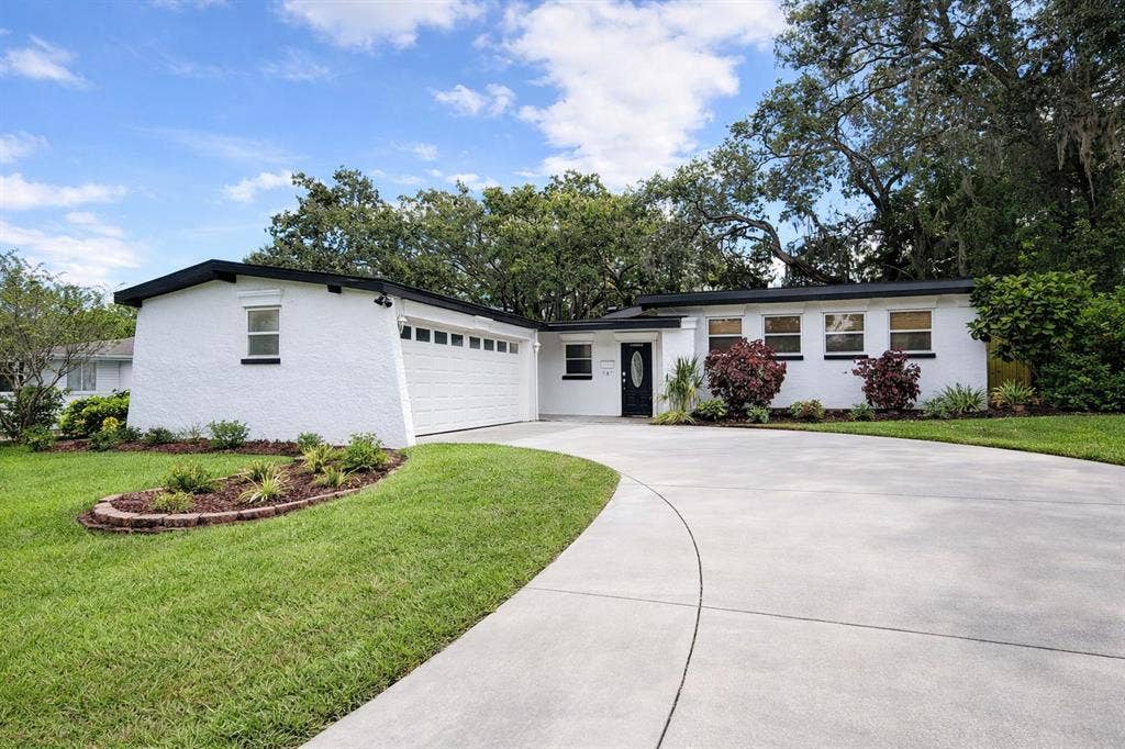 10 BR in Tampa