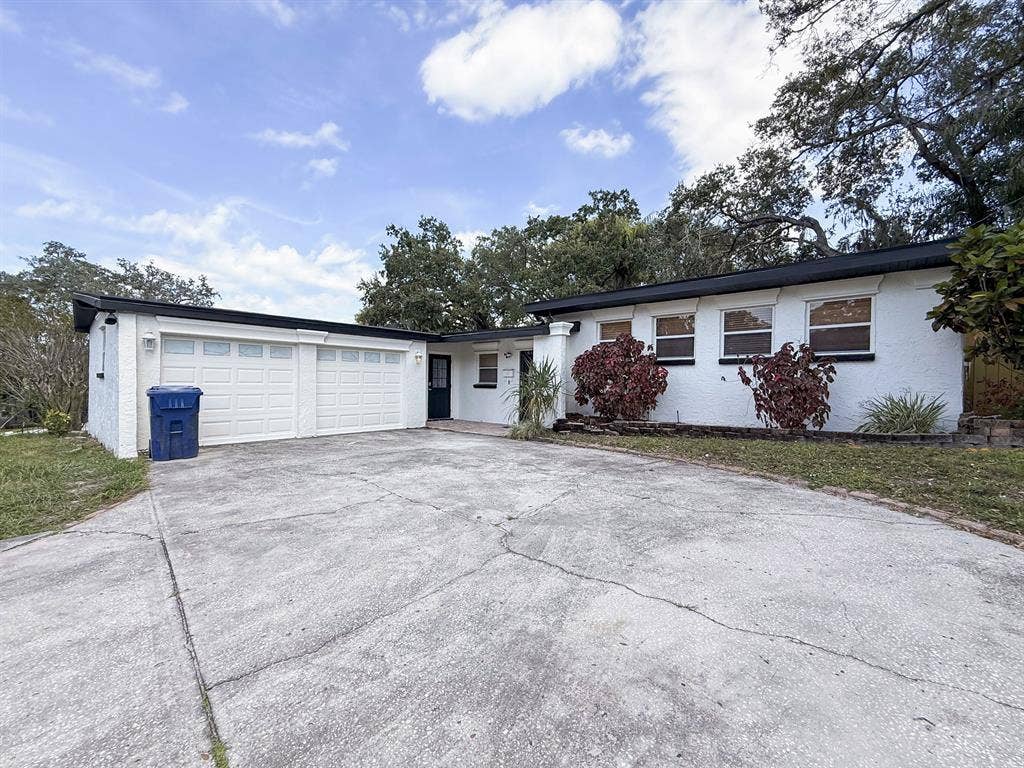 10 BR in Tampa