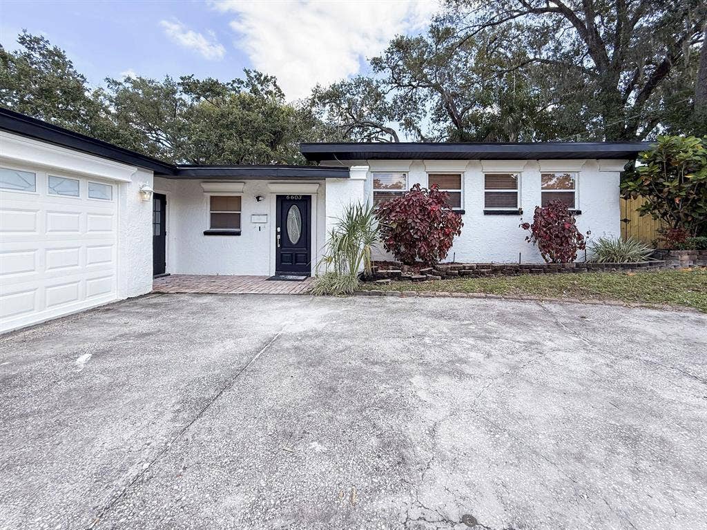 10 BR in Tampa