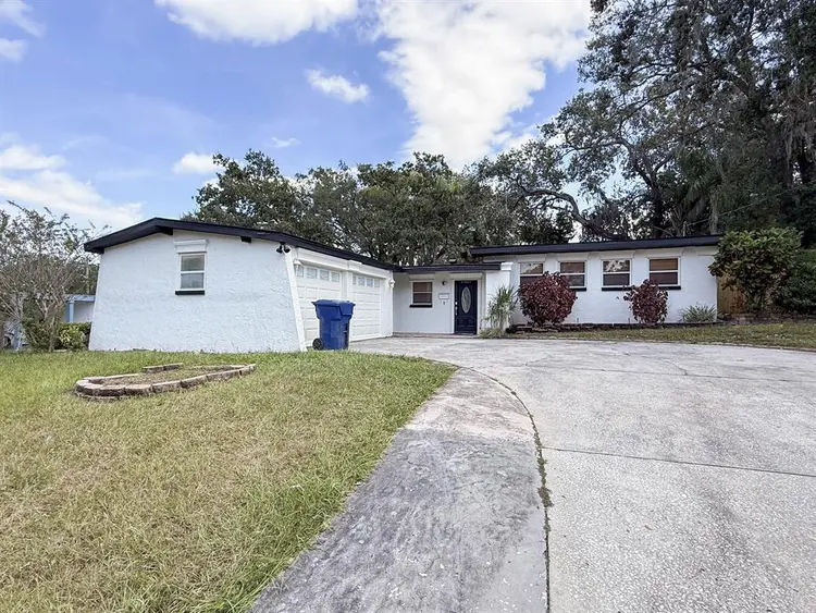 10 BR in Tampa