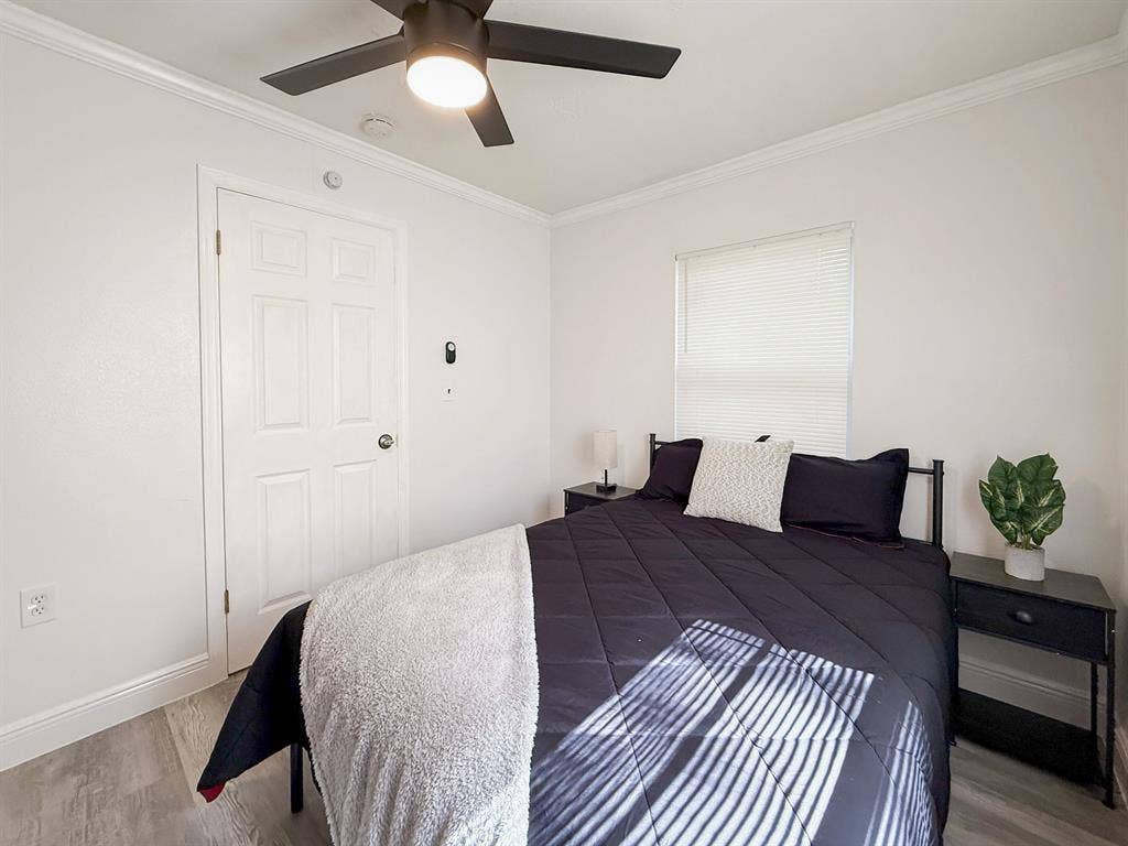 10 BR in Tampa