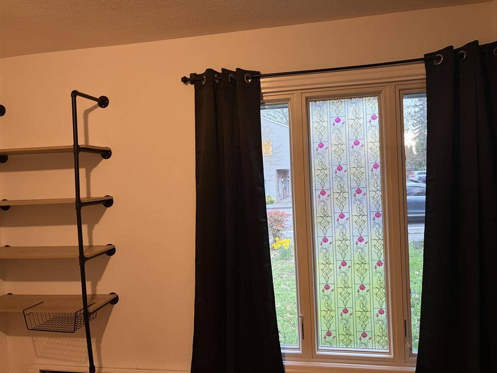 Dog-Friendly Near TriMet & Shopping