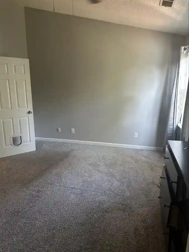 Cozy room