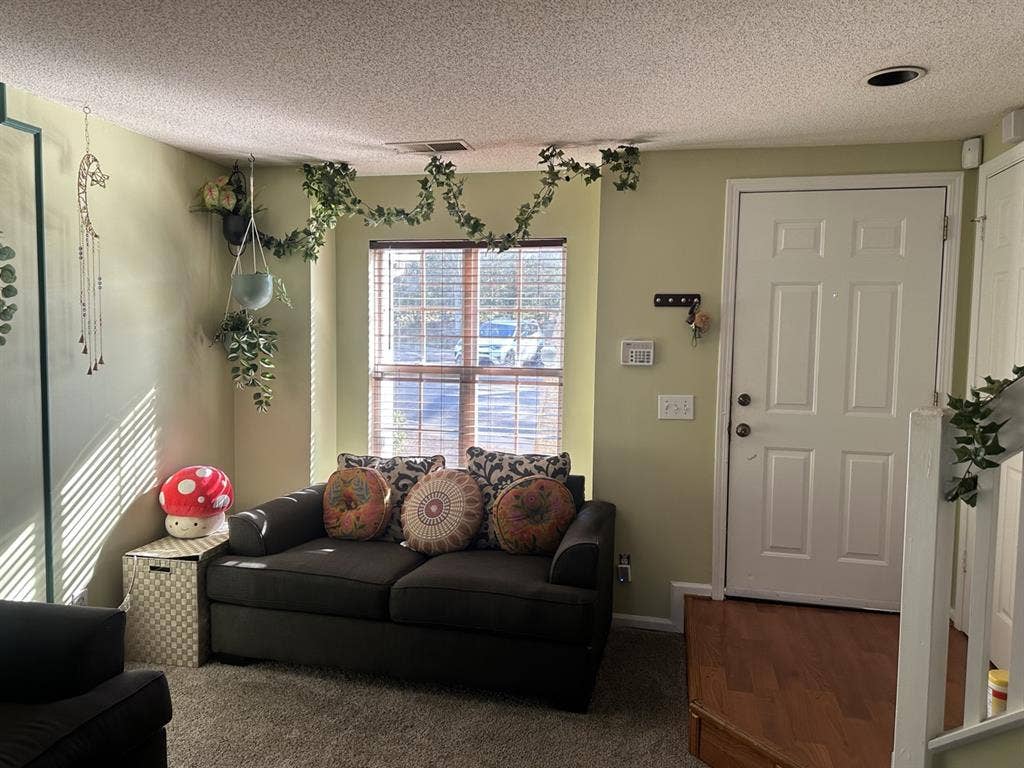 Cozy room
