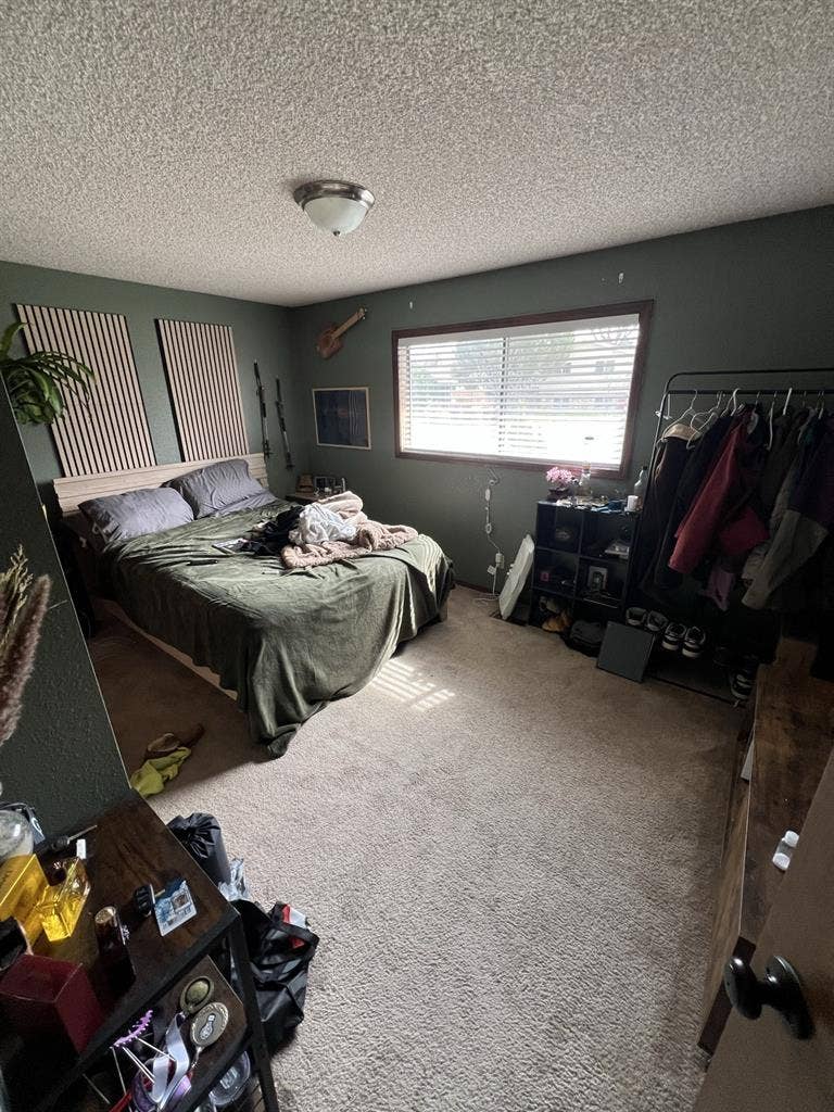 Looking for a laid back roomate