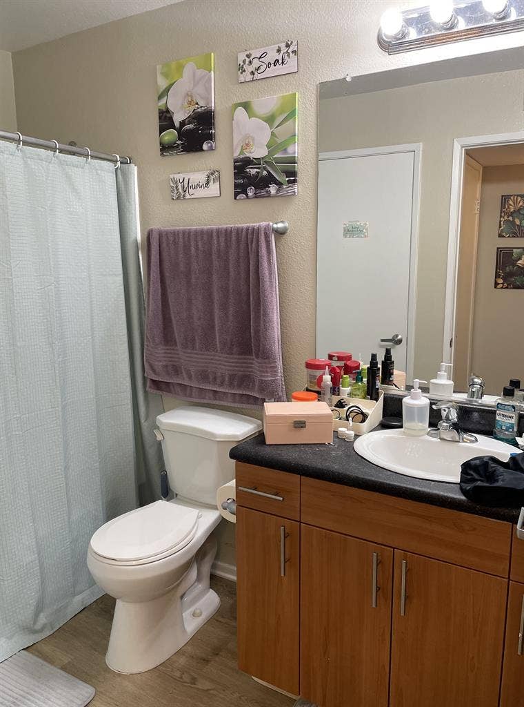 Private Bed/Bath in 2bd/2bath Apt