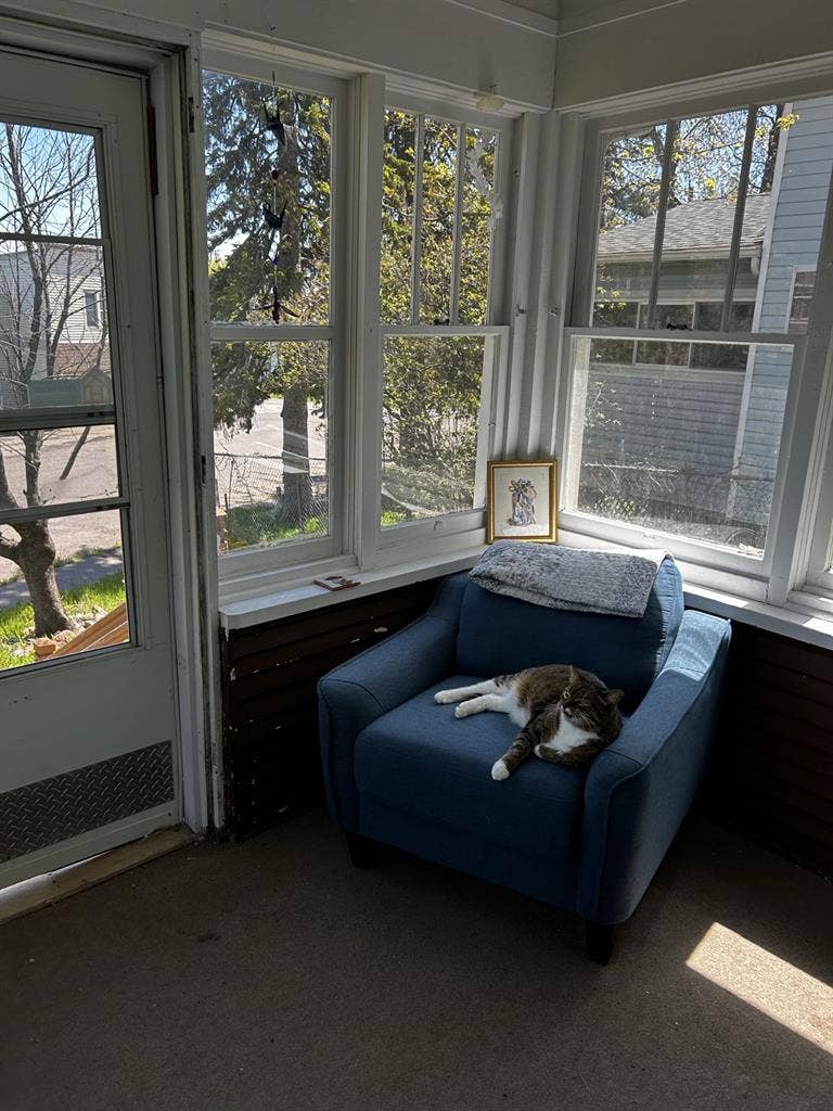 Looking for A Roommate!