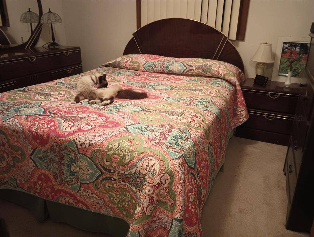 $400 room rent in Wheat Ridge