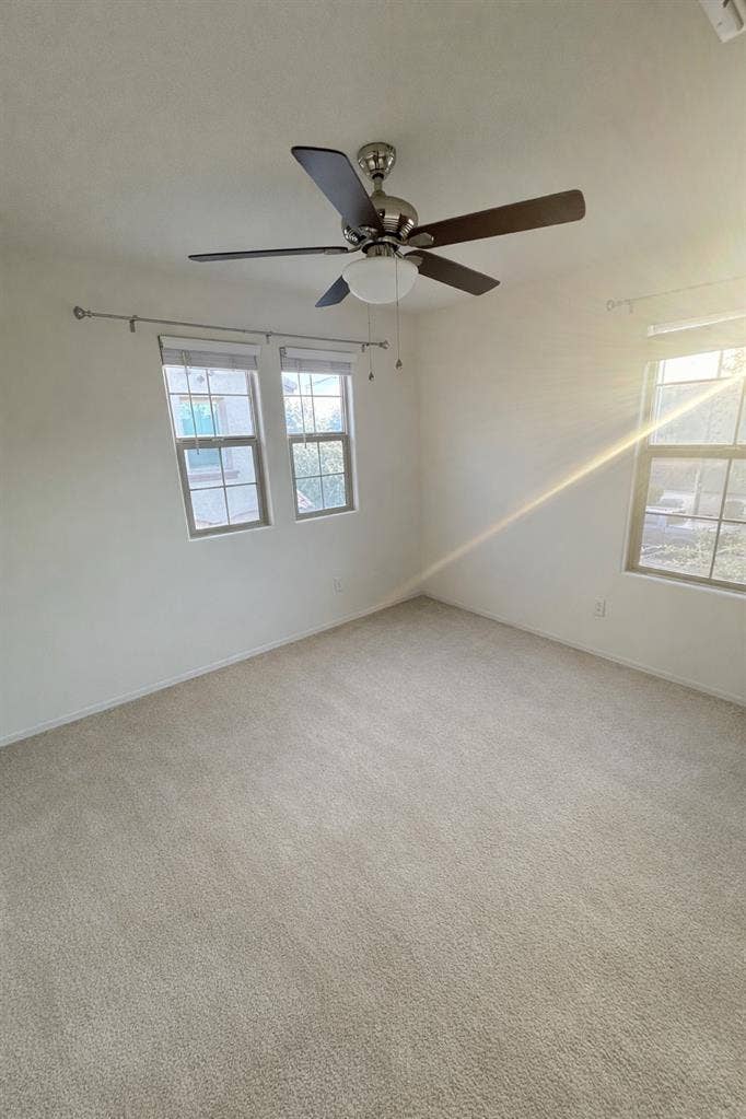 Room for rent!