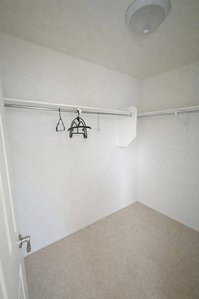 Room for rent!