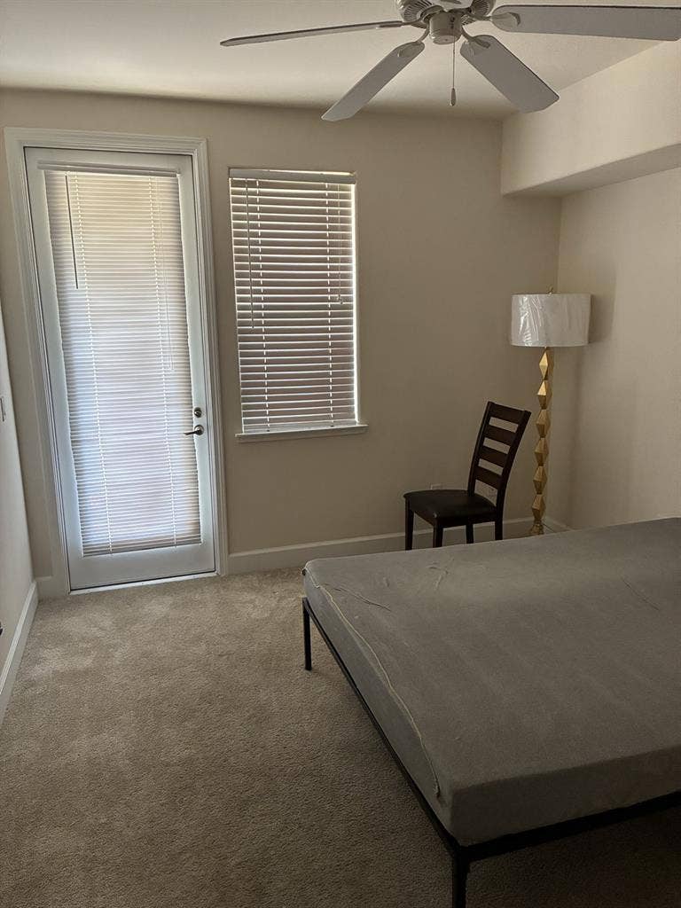 Looking for a roommate