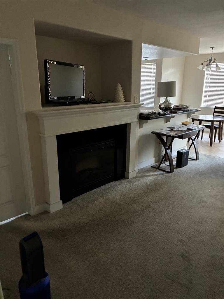 Looking for a roommate