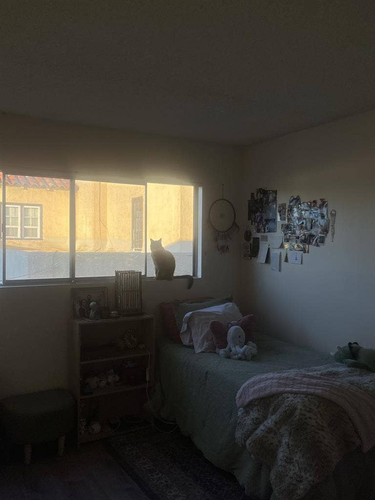 Room for rent in a 2 bedroom Apt!