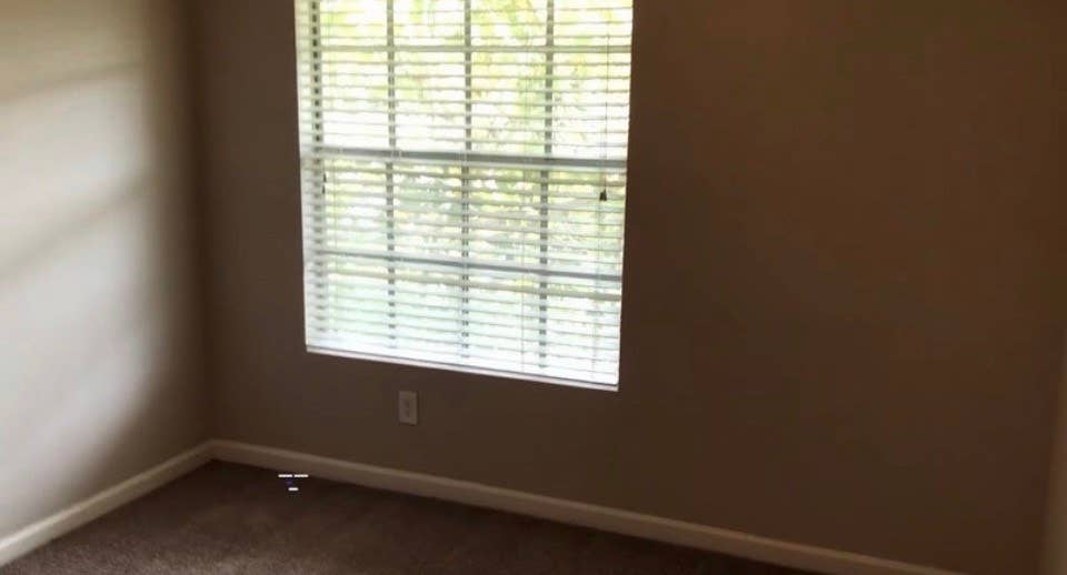 Private Room + Bath in South Tampa