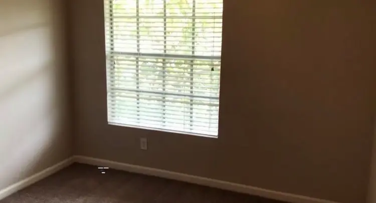 Private Room + Bath in South Tampa