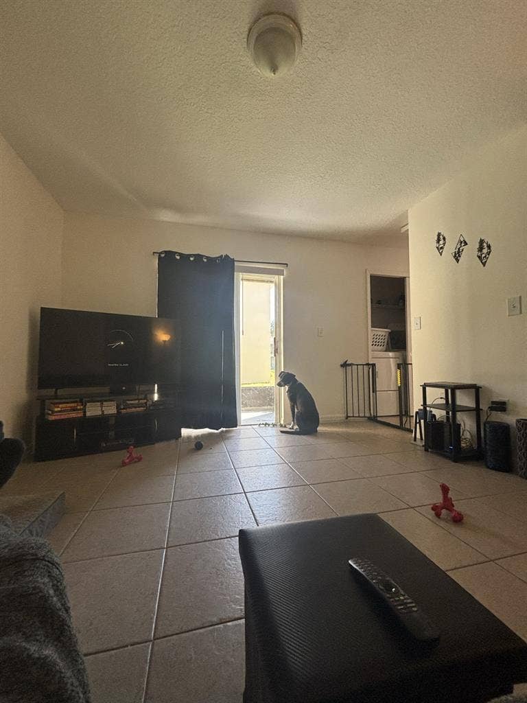 Looking for a dog lover.