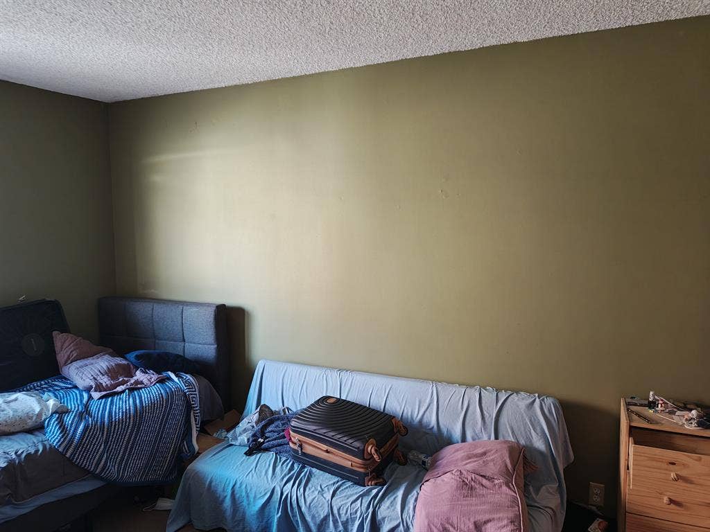 transitioning from my last roommate