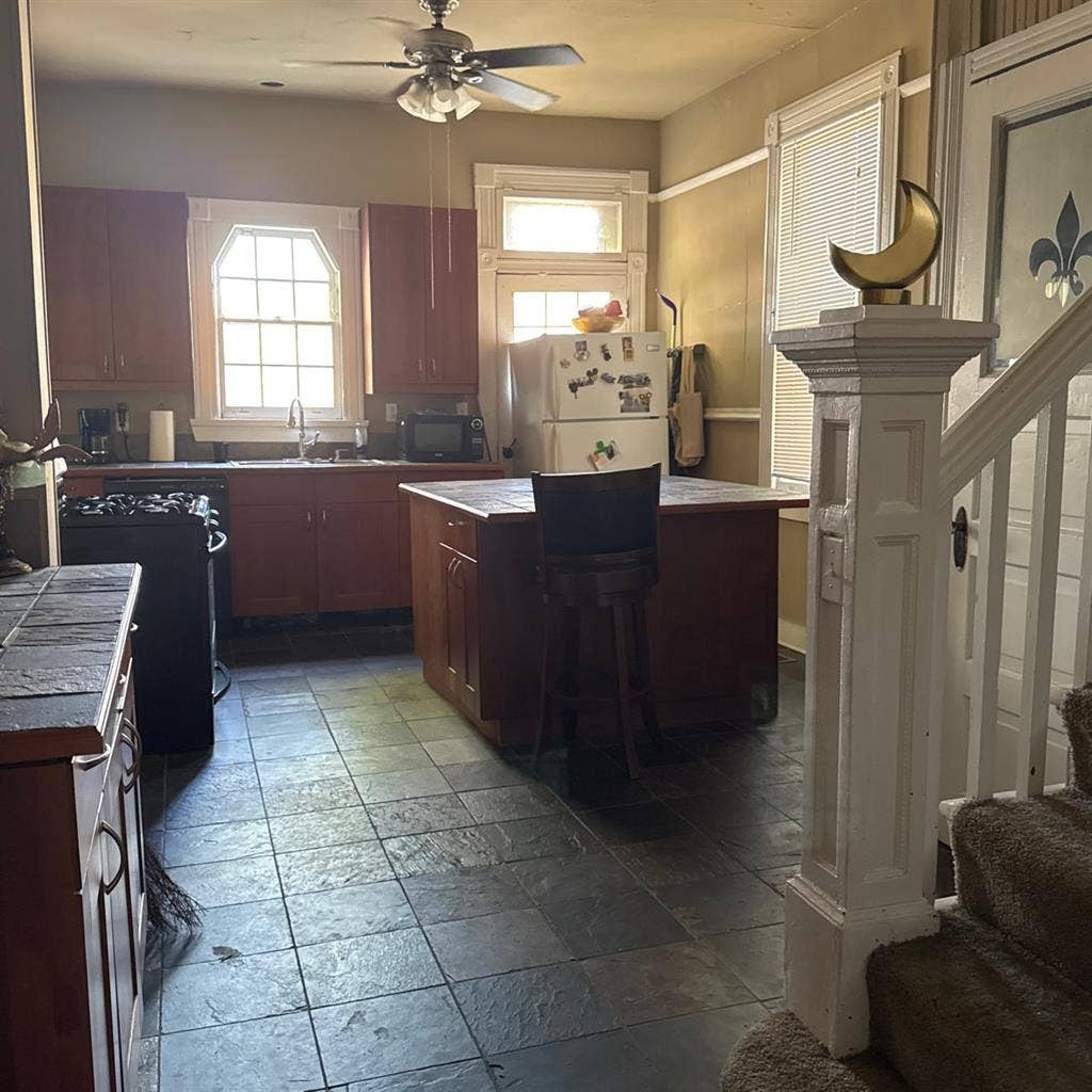 Native N.O. Prof. Looking 4 Rmm8