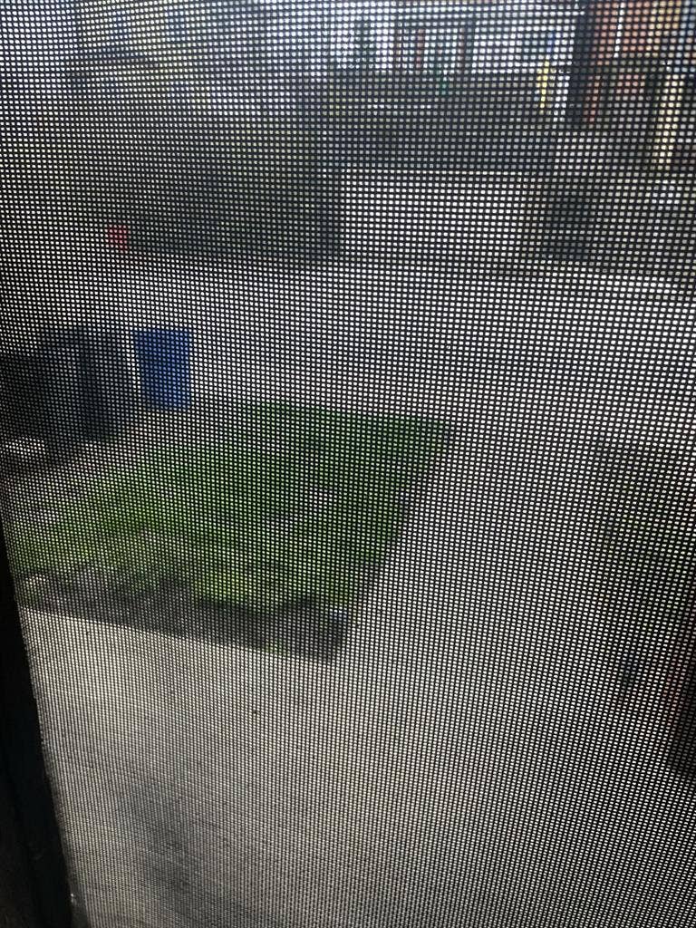 Looking for a roommate