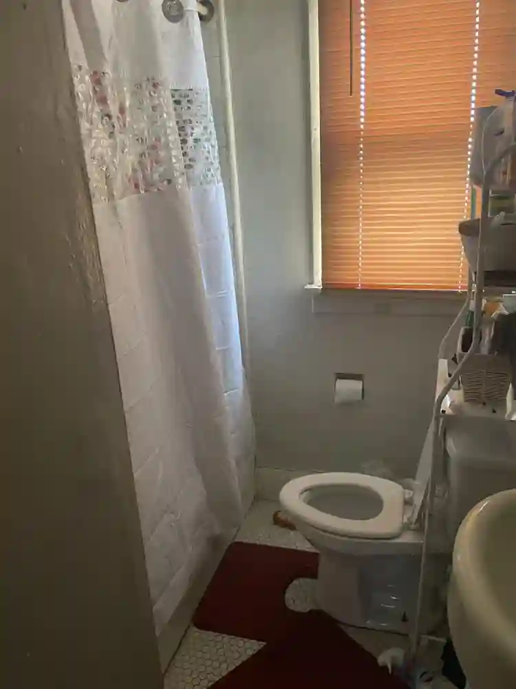 Looking for a roommate