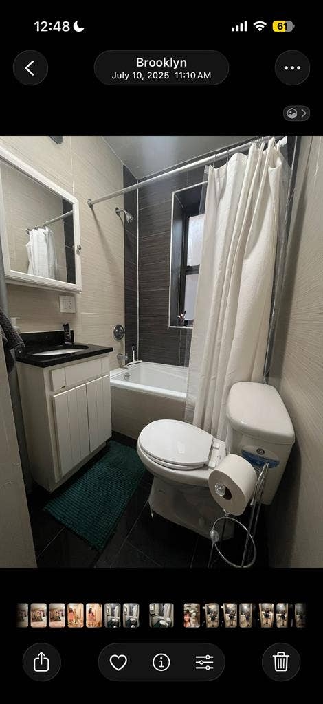 Roommate for 3 BR in Williamsburg