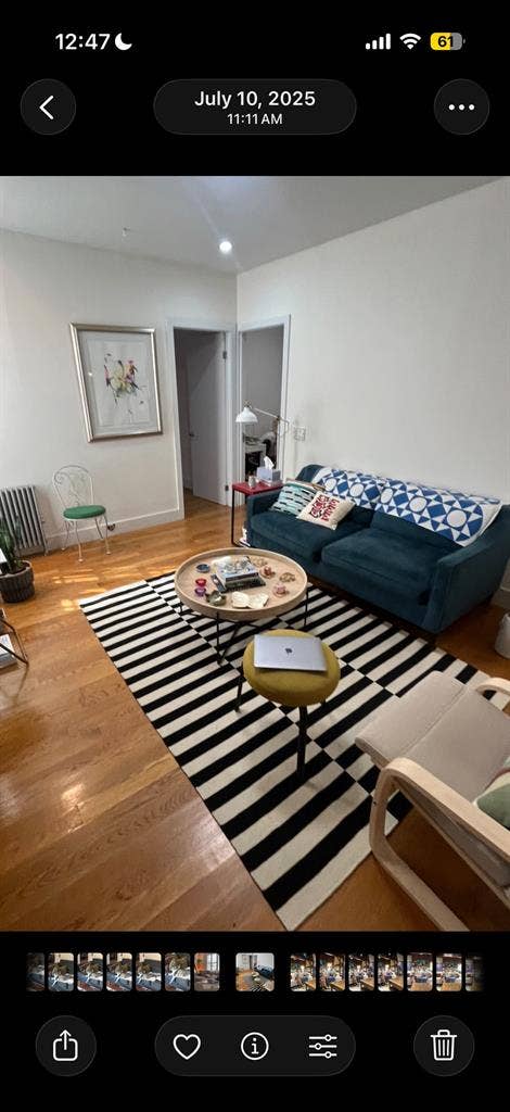 Roommate for 3 BR in Williamsburg