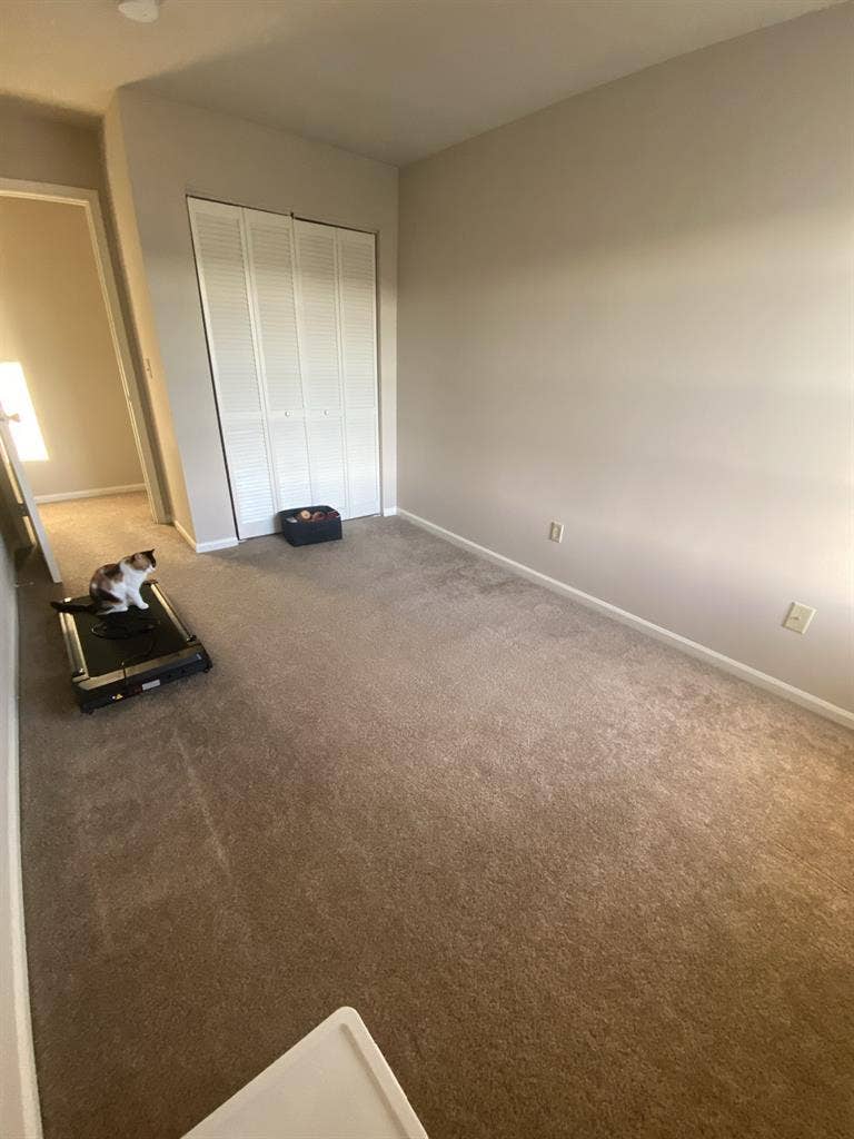 Roommate needed (1b 1ba)