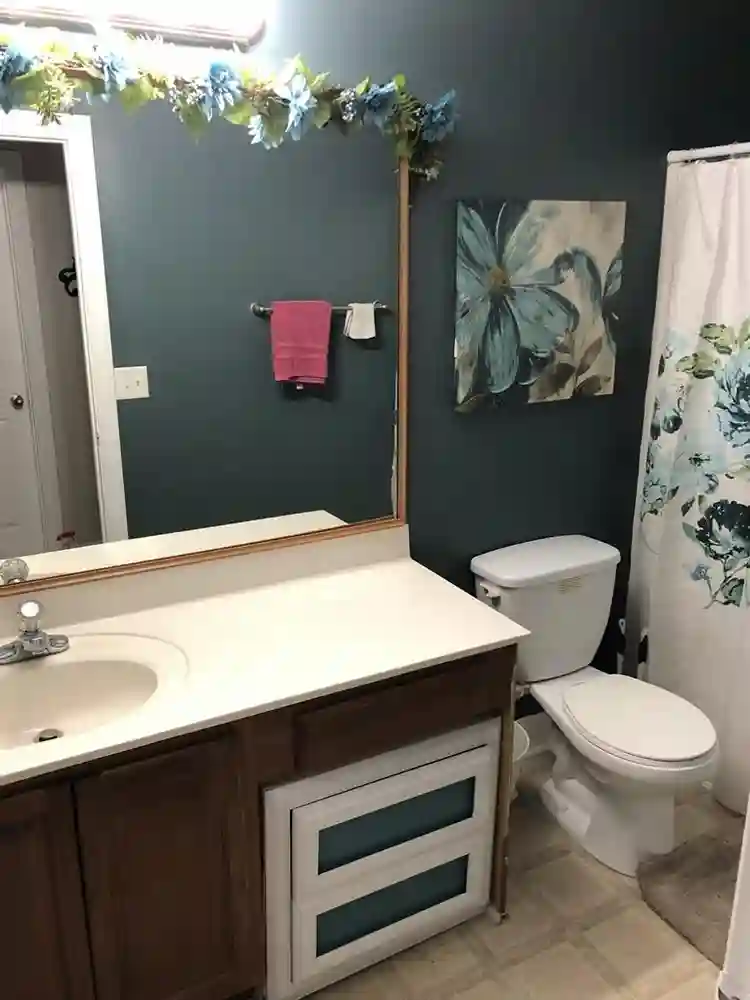 Roommate wanted