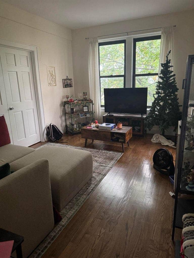 Room Avail in 3BR Astoria Apt!