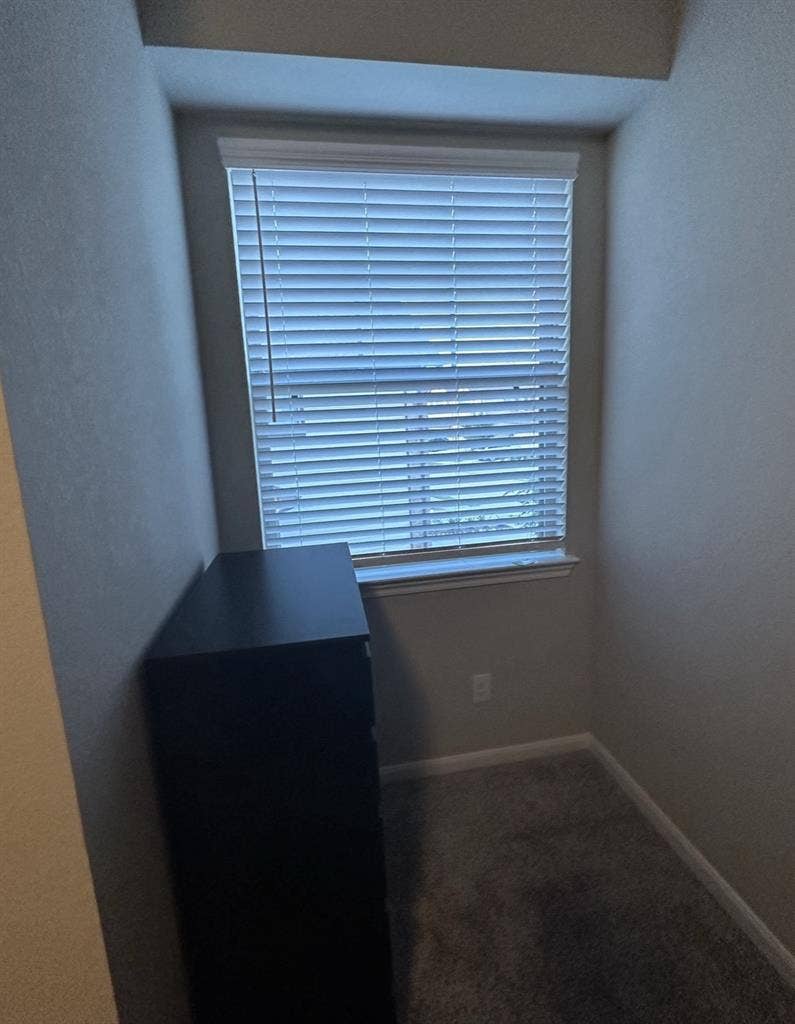 No drama and quiet roommate needed
