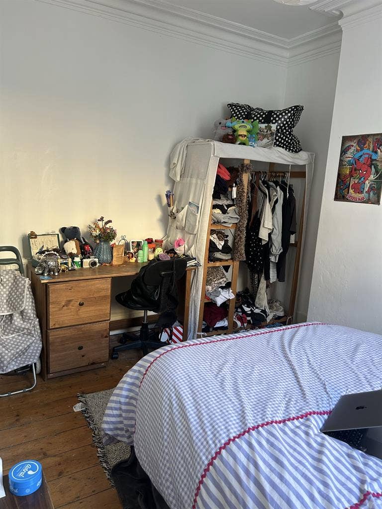 Looking for a female student:)