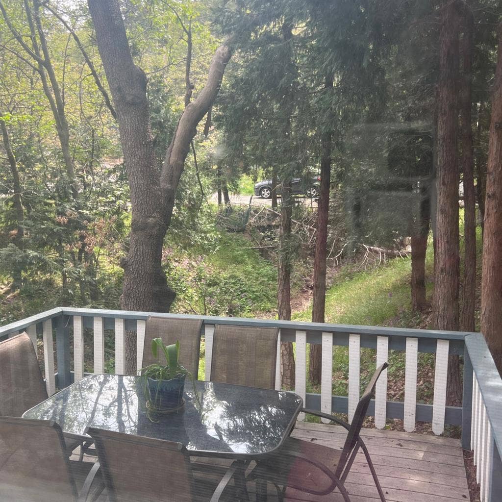 Room In The mountains 