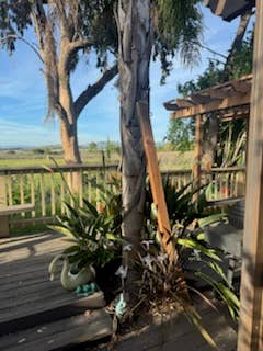 Studio for Rent- Ocean View - $1400