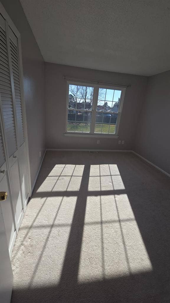 Looking for roommate