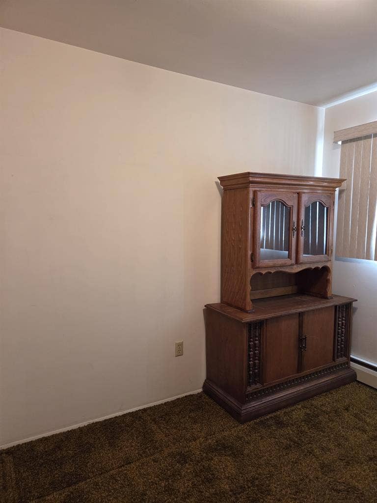 ROOMMIE WANTED