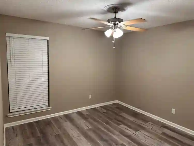 Looking for a roommate
