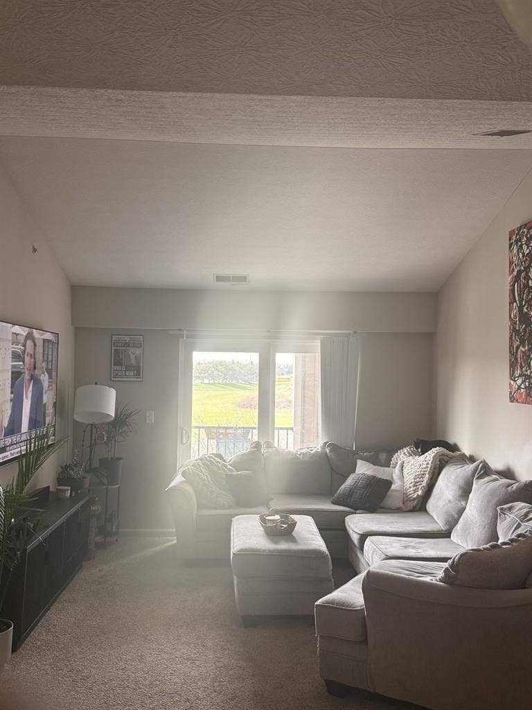 Seeking roommate in Polaris