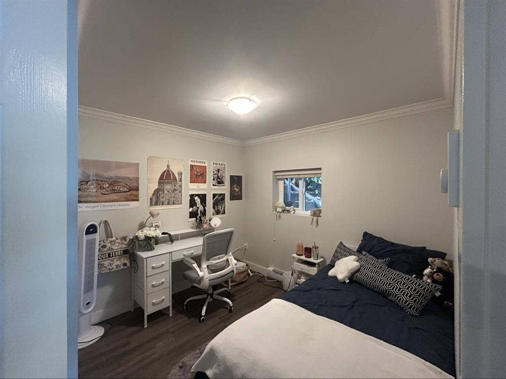 Looking for a new roommate!