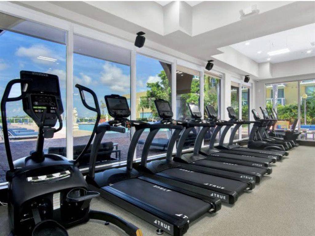 1 persona mujer sin perros