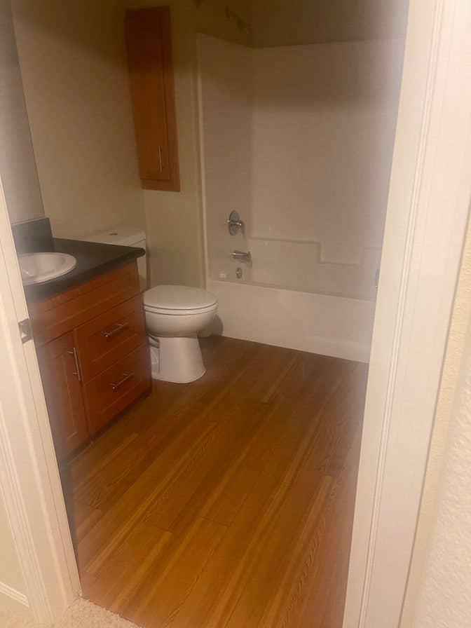 looking for a roommate