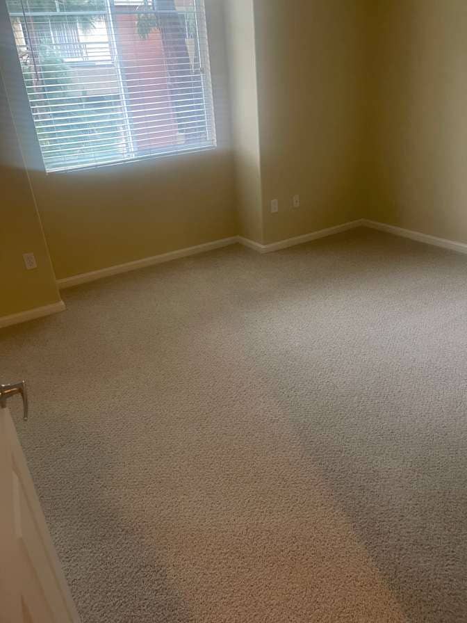 looking for a roommate