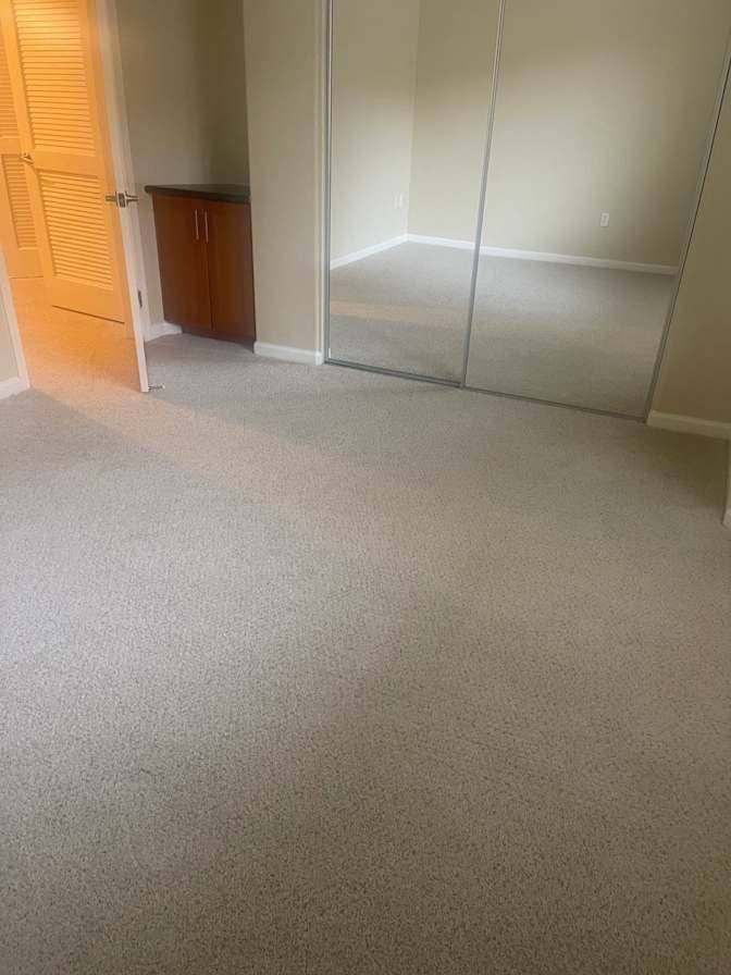 looking for a roommate