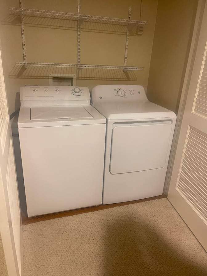 looking for a roommate