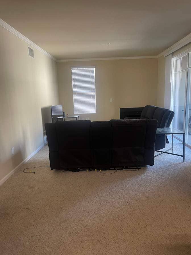 looking for a roommate