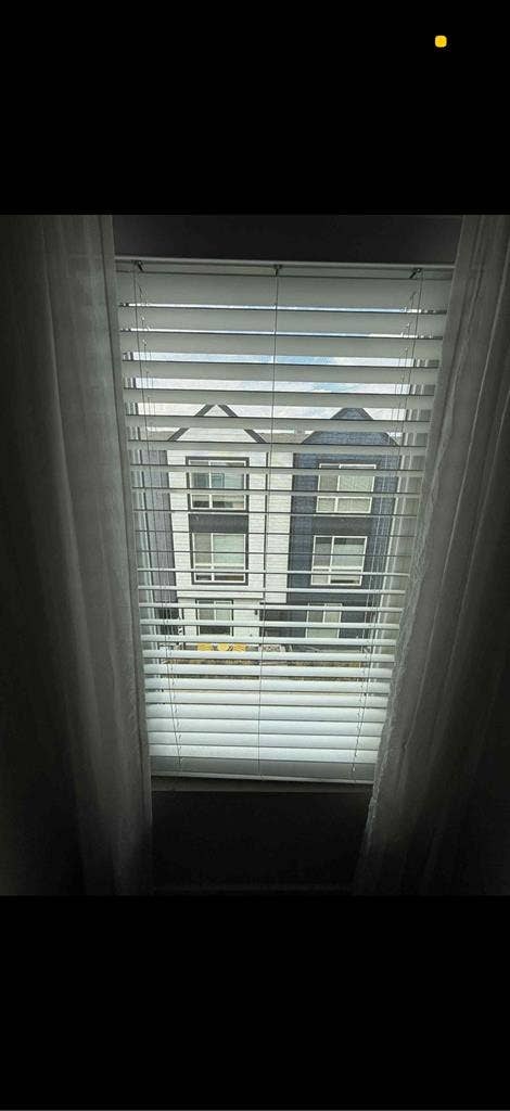 Need a female roommate