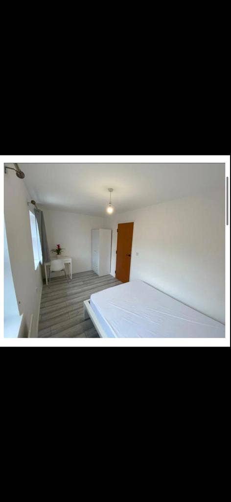 Looking for a roommate