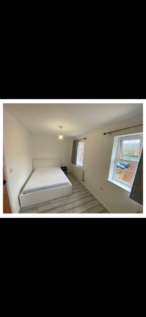 Looking for a roommate
