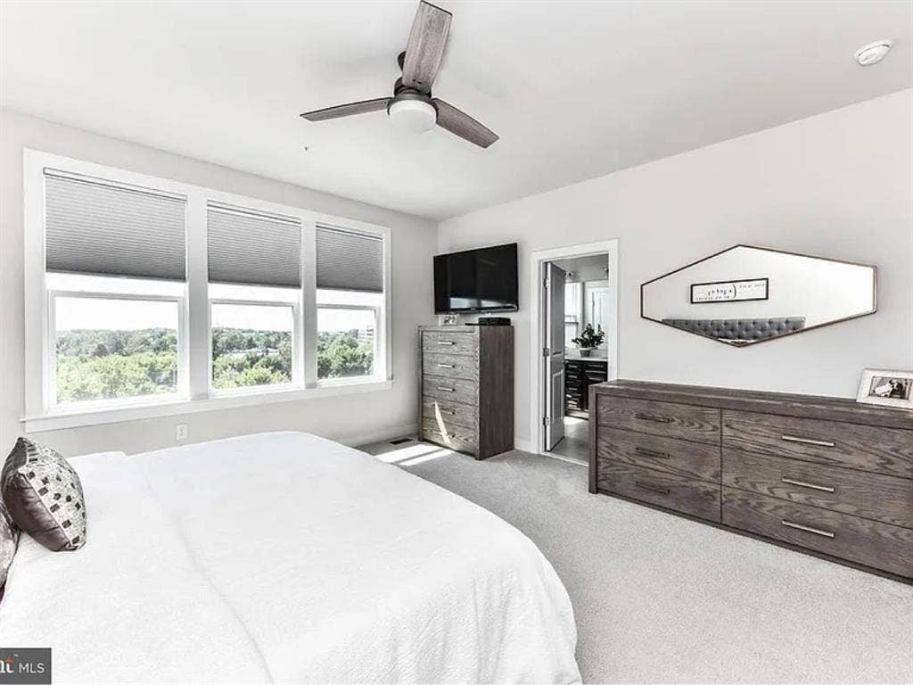MASTER BEDROOM AVAILABLE - HERNDON