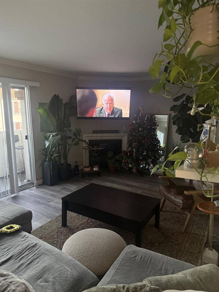 Looking for a chill roommate.