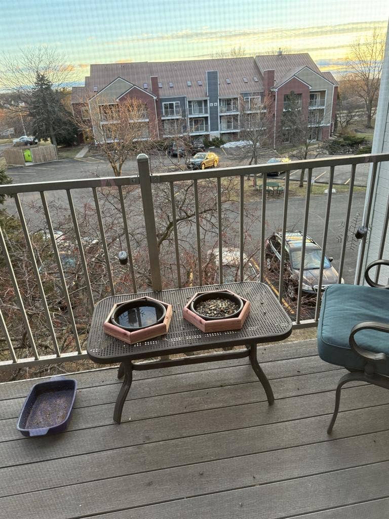 Available APR 15 - Lofted 1 b/1 b